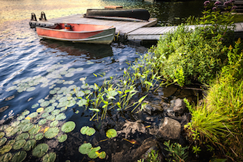 a rowboat at a wooden dock, with lily pads in the water and grasses growing on the shore